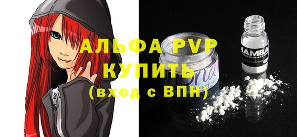 ECSTASY Горняк