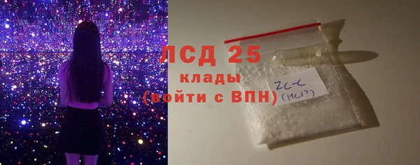 ECSTASY Горняк