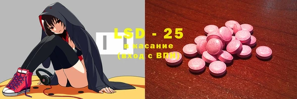 ECSTASY Горняк