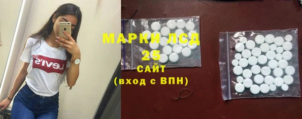 ECSTASY Горняк