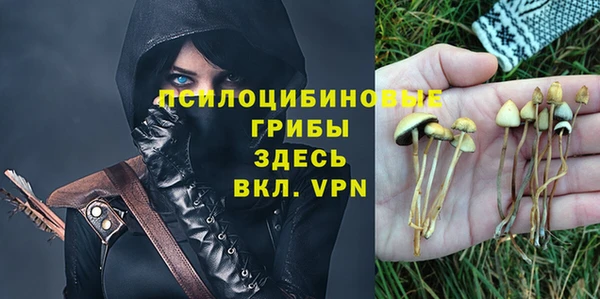 ECSTASY Семилуки