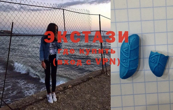 ECSTASY Горняк