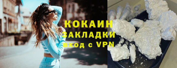 ECSTASY Горняк
