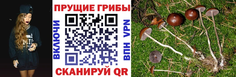 Галлюциногенные грибы MAGIC MUSHROOMS  купить наркотики сайты  Нефтекамск 